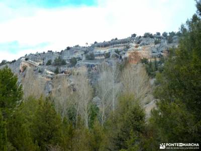 Fuentona y Sabinar de Calatañazor;sabinar cubo de la galga la mesa de los tres reyes pueblos alrede